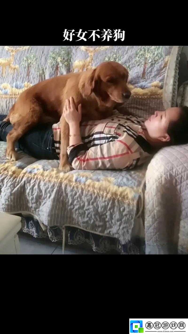關于美國人與狗交的奇特現象探討