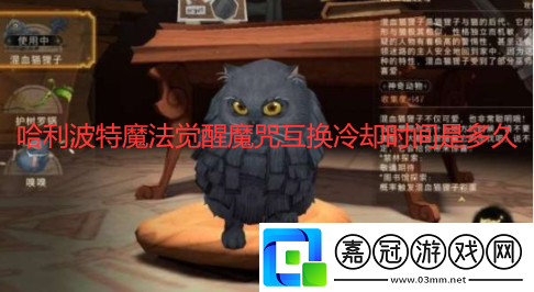 哈利波特魔法覺醒魔咒互換冷卻時間是多久魔咒互換冷卻時間介紹