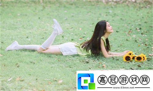 如何找到嗶哩嗶哩高清觀看資源和其他免費資源站點的推薦