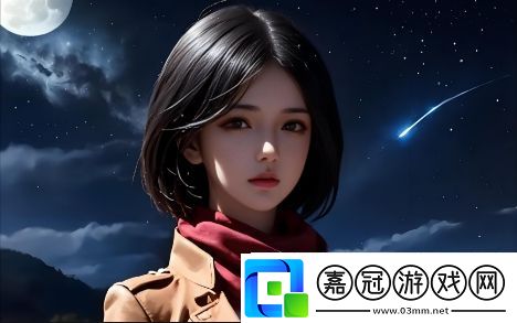 歐洲尺碼與日本尺碼專線年費如何選擇