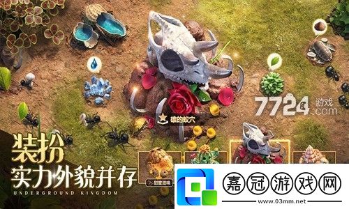 小小蟻國蟻巢土地布局一覽-蟻巢布局方法匯總