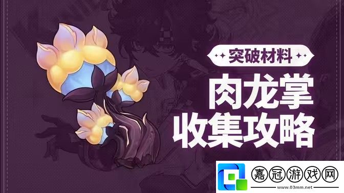 原神肉龍掌采集路線大全