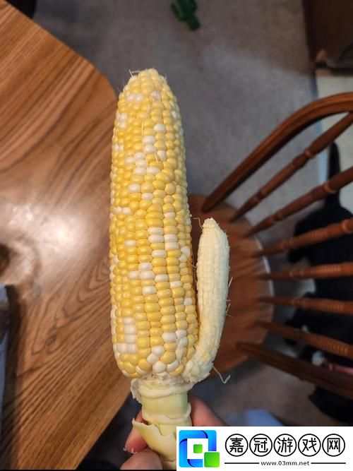 草莓櫻桃絲瓜秋葵榴蓮黃瓜大全-讀者：探索五彩繽紛的夏季水果與蔬菜世界共享技巧