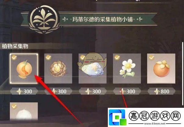 無限暖暖布布果在哪購買