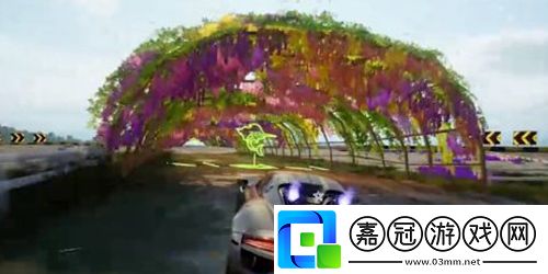 繽紛花海速通方法稀有坐騎捕捉分享