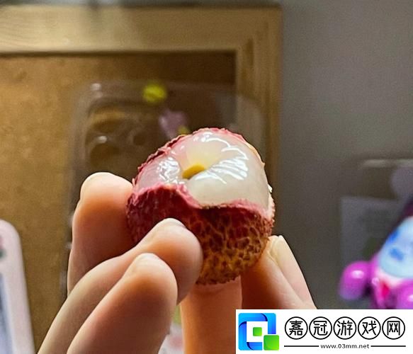 已經塞了八顆荔枝了竇寇兒-網友分享：生活中的小樂趣與大夢想共享技巧