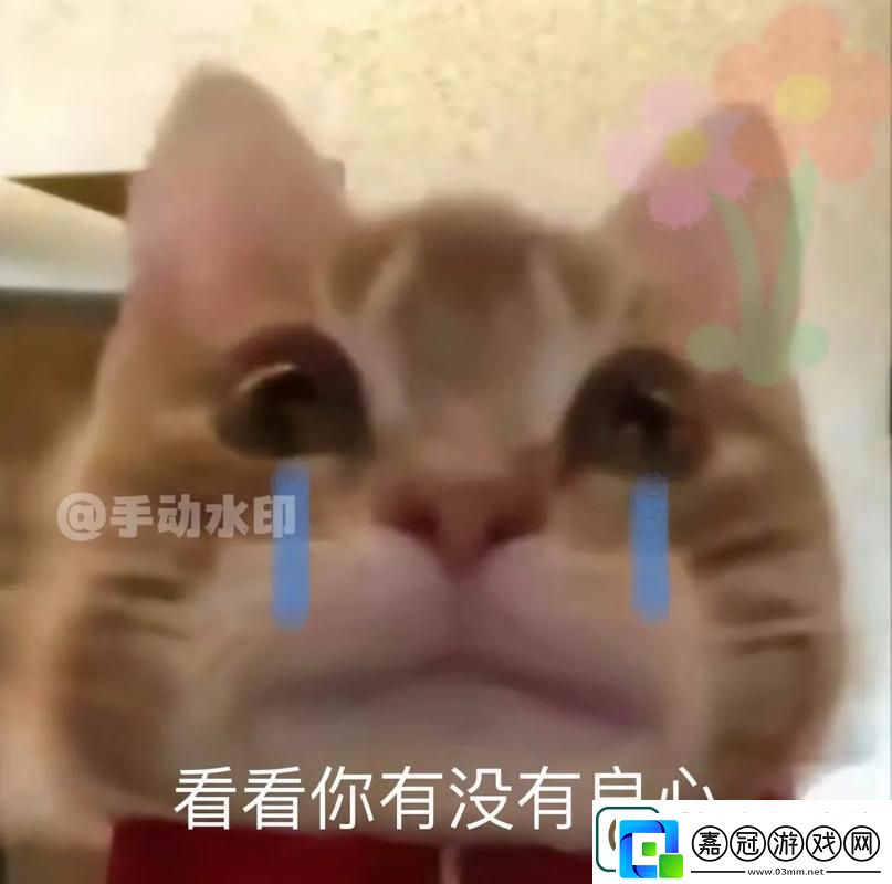 細數男人把QQ號放進女人表情包里友紛紛熱議