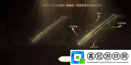 哈利波特魔法覺醒魔杖可以換嗎不同的魔杖有什么特別之處