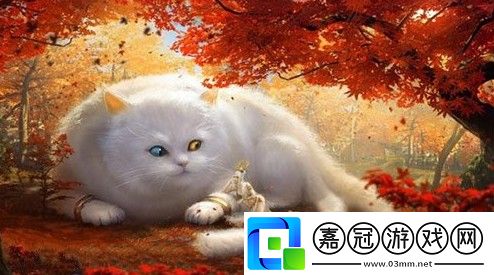 妄想山海朏朏是什么品質