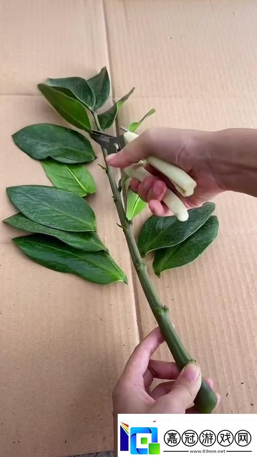 女性坐著扦**b有什么好處
