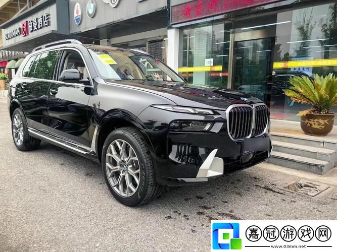 國產與進口X7X7X7槽-粉絲表示：性能差異顯著-選擇依據各自需求共享技巧