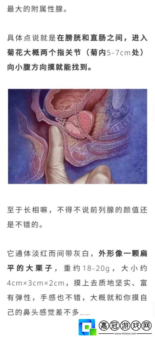 公交車(chē)上的尷尬瞬間：在公交車(chē)?yán)颿弄到高C了怎么辦共享技巧