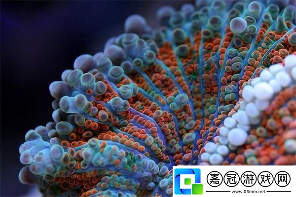 神奇海洋1月4日答案2025