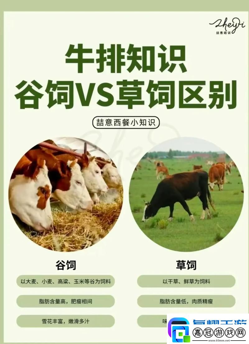 老牛嫩草一區(qū)二區(qū)三區(qū)的區(qū)別-網(wǎng)友：真是一目了然！