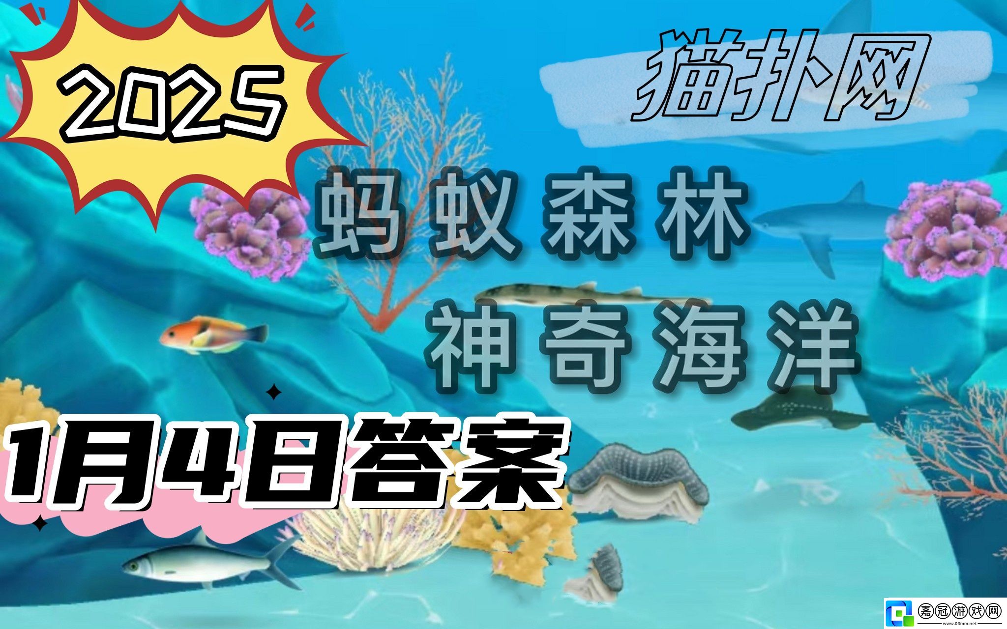 神奇海洋1月4日答案2025-生活在海底的虎耳菇其實是一種