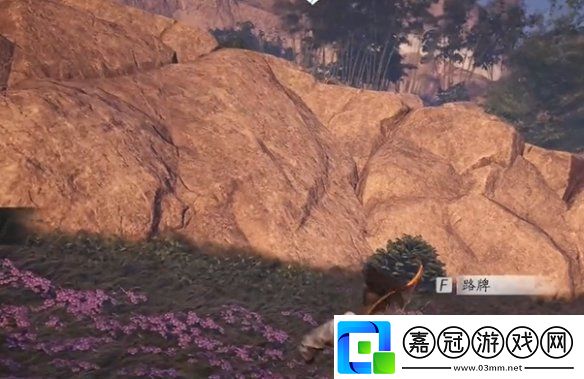 燕云十六聲花海蹊蹺在哪