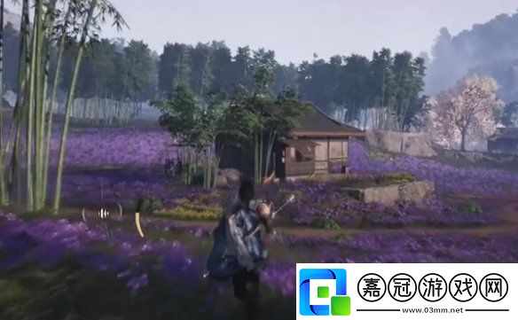 燕云十六聲花海蹊蹺在哪
