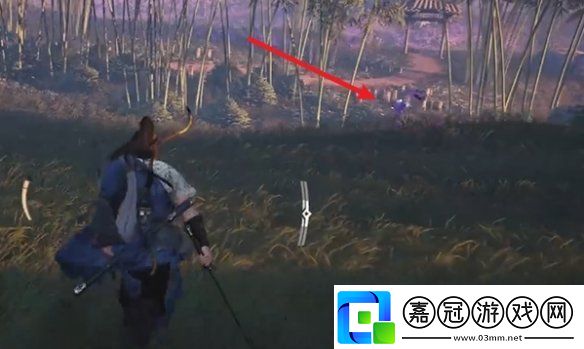 燕云十六聲花海蹊蹺在哪
