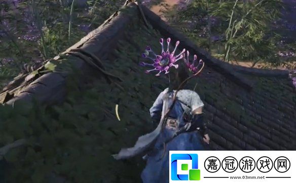 燕云十六聲花海蹊蹺在哪