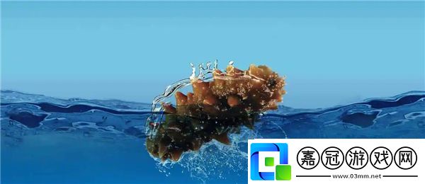 神奇海洋1月27日答案2025