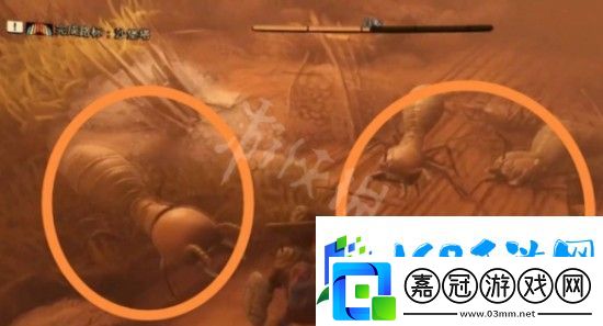禁閉求生白蟻巢在什么地方