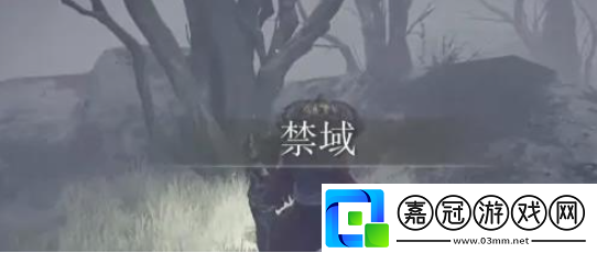 艾爾登法環(huán)雪山怎么去雪山進入方法介紹