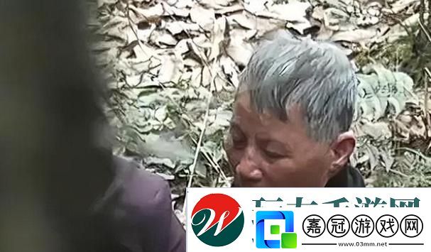 老年鏢客在線免費觀看：一場精彩絕倫的動作冒險之旅