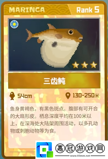 三齒鲀抓捕攻略