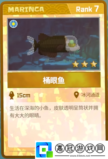 桶眼魚抓捕攻略
