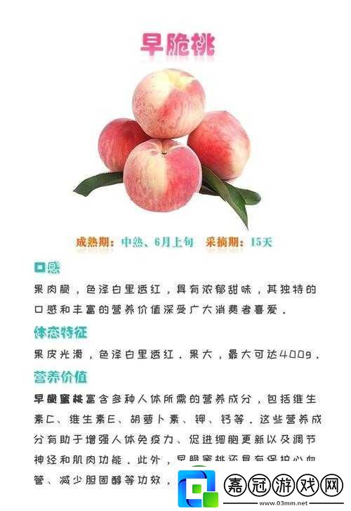 桃子移植大全最新入口是什么