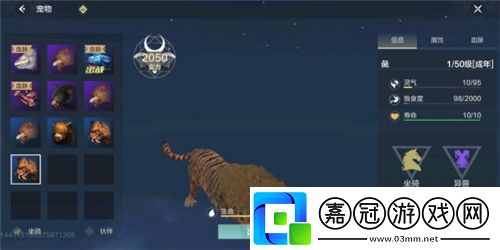 妄想山海老虎在哪抓