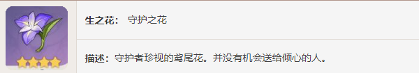 圣遺物——守護之心