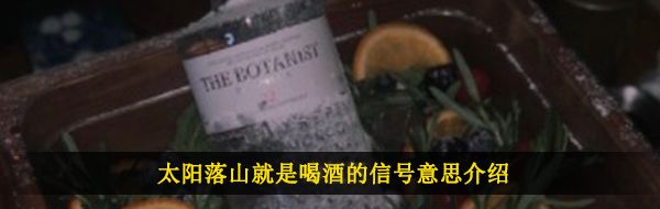 太陽落山就是喝酒的信號是什么意思-太陽落山就是喝酒的信號梗的含義及出處介紹