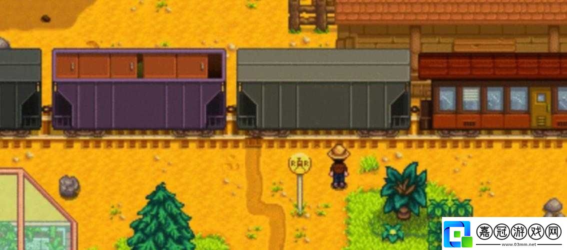 星露谷物語火車駛過留下謎團-火車站究竟藏著哪些奇妙產出