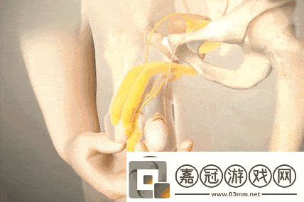 行房時(shí)勃不起怎么辦-應(yīng)對(duì)勃起困難：實(shí)用技巧與建議