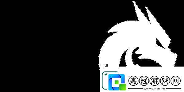 chopper采訪