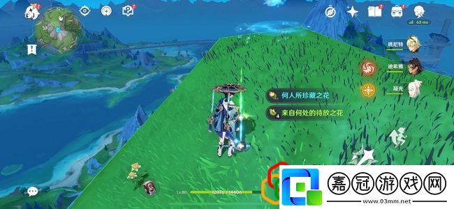 何人所珍藏之花的具體作用任務(wù)流程與高效完成技巧