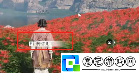 燕云十六聲花中愿任務(wù)怎么做