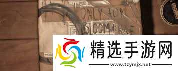 失落的記錄中收藏品家朱雀的在哪里