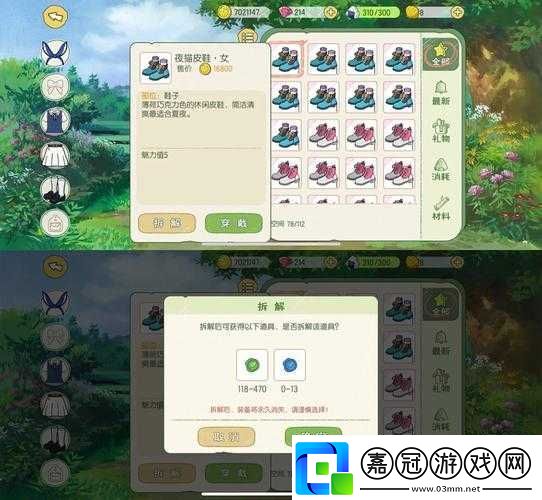 小森生活中菠蘿究竟在哪里獲取-深度解析帶你揭秘！