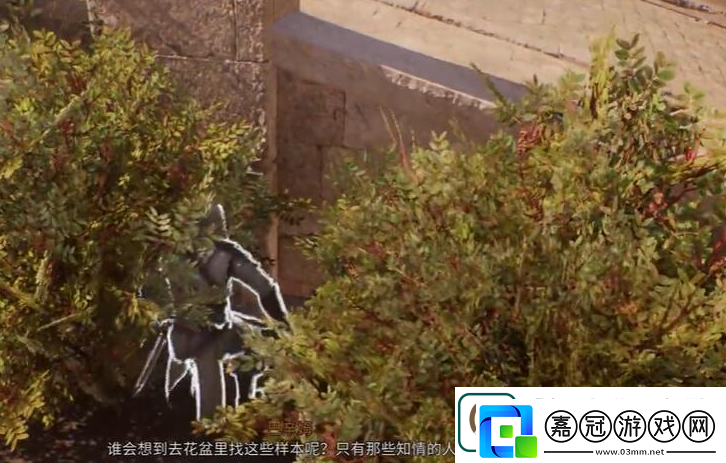 刺客信條幻景植物學(xué)家合約怎么做