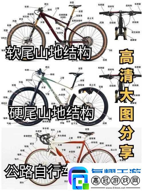 坤哥教你騎軟尾單車：新手必學(xué)的騎行技巧與安全指南全解析