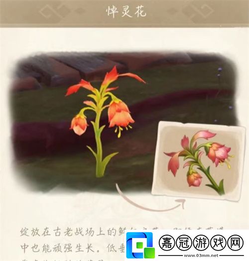 原神悼靈花刷新時間介紹-原神悼靈花多久刷新一次