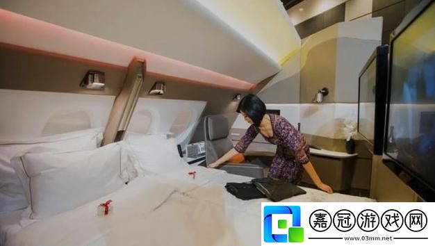 頭等艙客服的特殊待遇2免費(fèi)不花錢-網(wǎng)友：簡(jiǎn)直太驚艷了！共享技巧