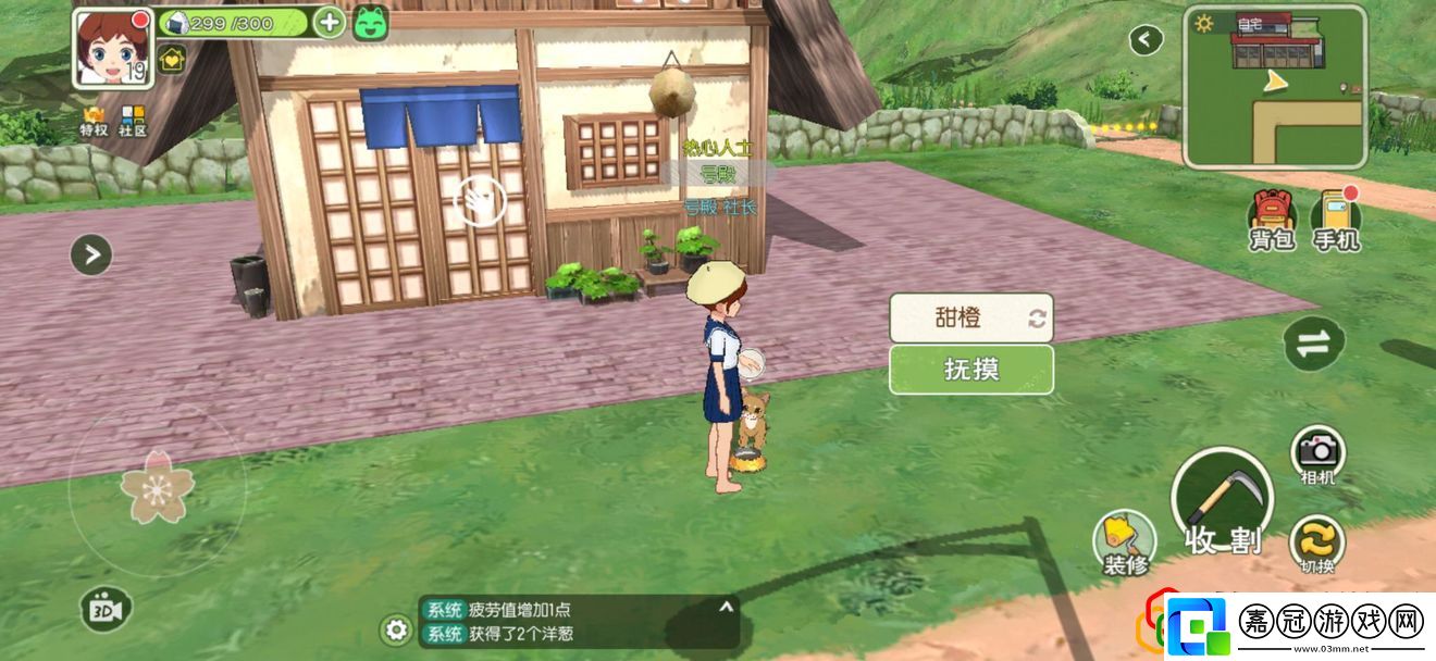 小森生活貓咪怎么養