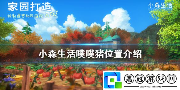 小森生活噗噗豬怎么抓