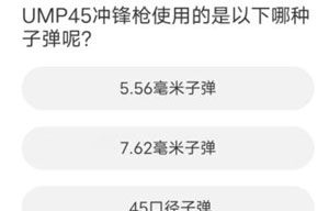 和平精英聚道城11周年答題是什么