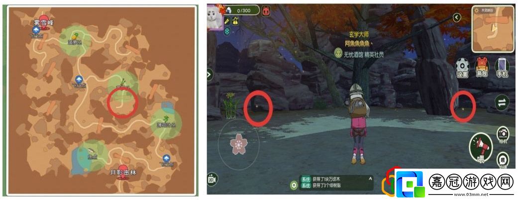 小森生活稀有蟲點怎么找
