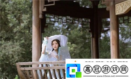國內永久免費saas