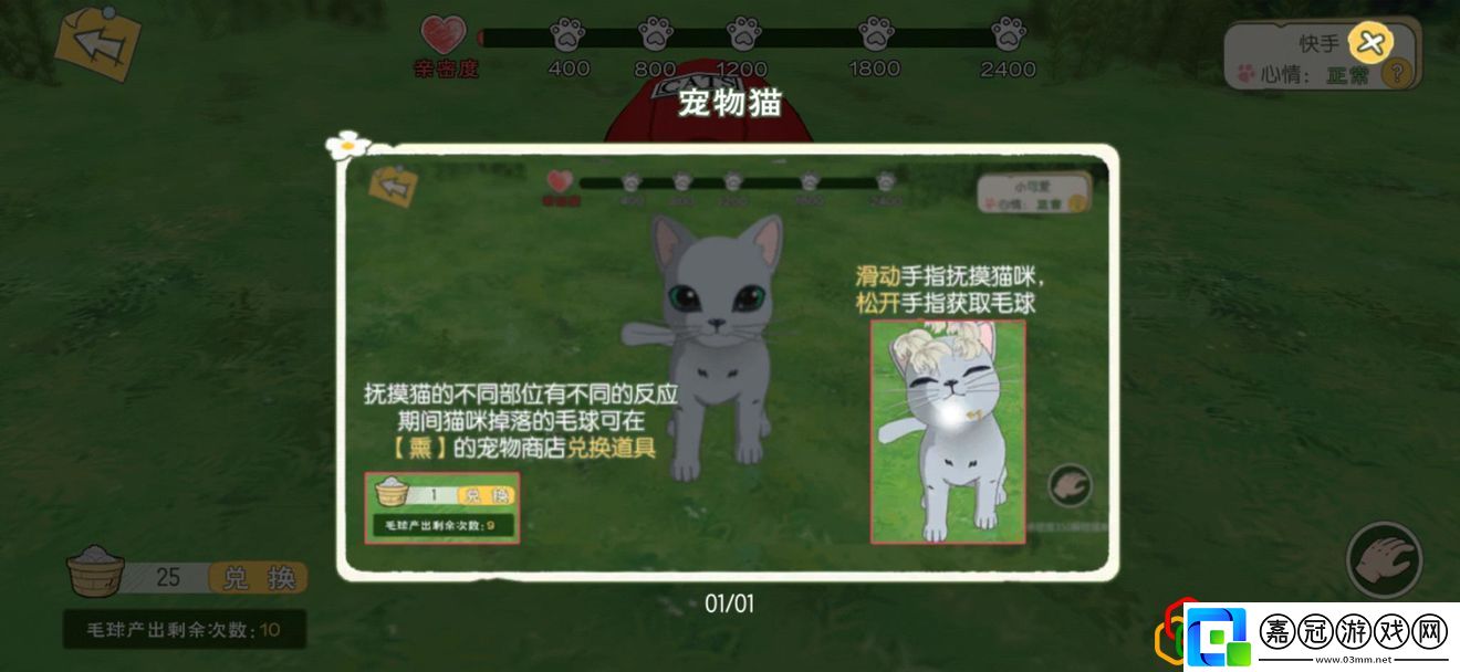 小森生活貓咪怎么養